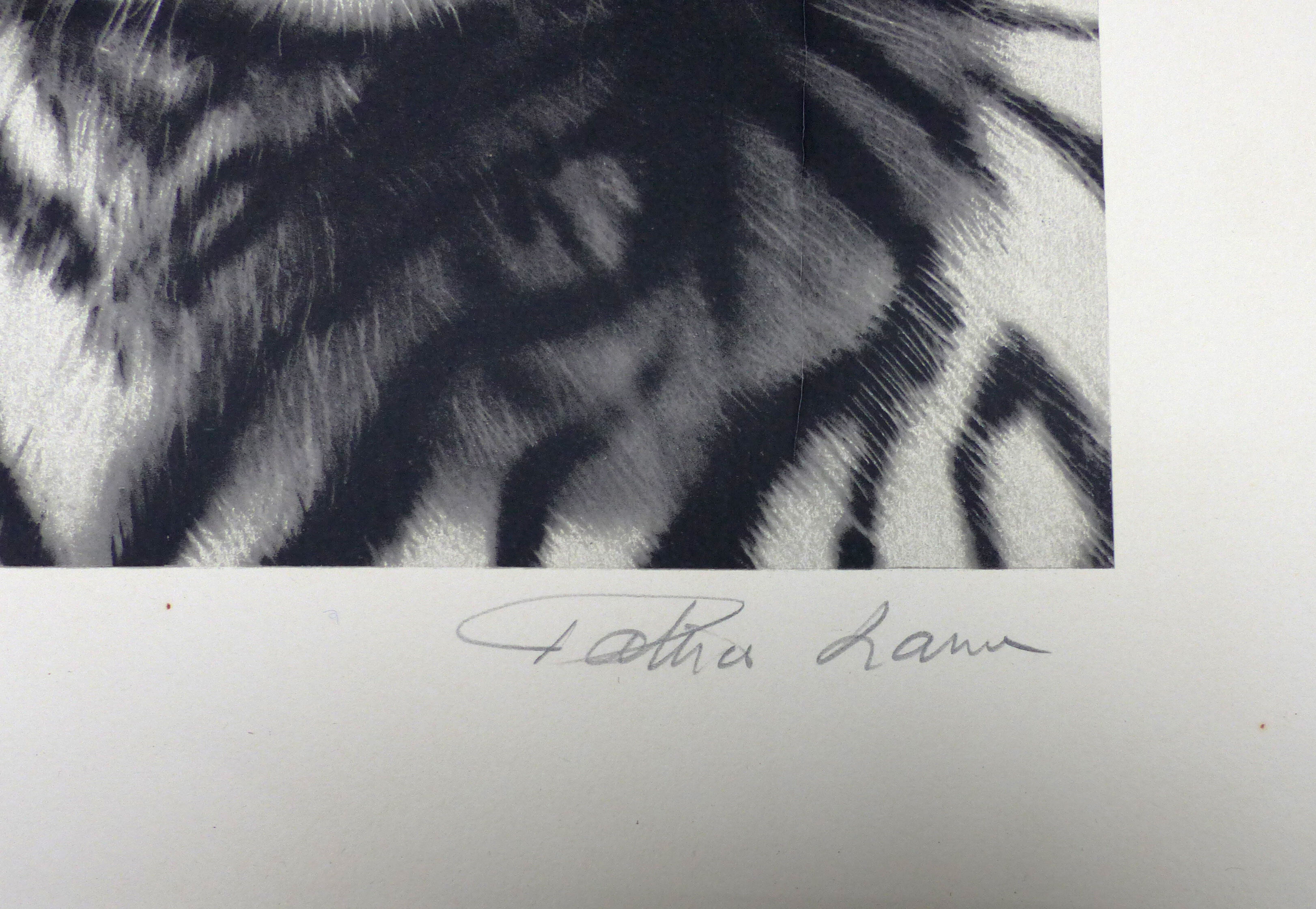 Black and white tiger signed lithograph