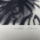 Black and white tiger signed lithograph