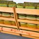Rainbow Color Yngve Ekstrom Pinewood 3-Seat Dymling Sofa for Swedese 1970s