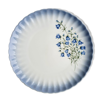 Beautiful plate decoration campanules