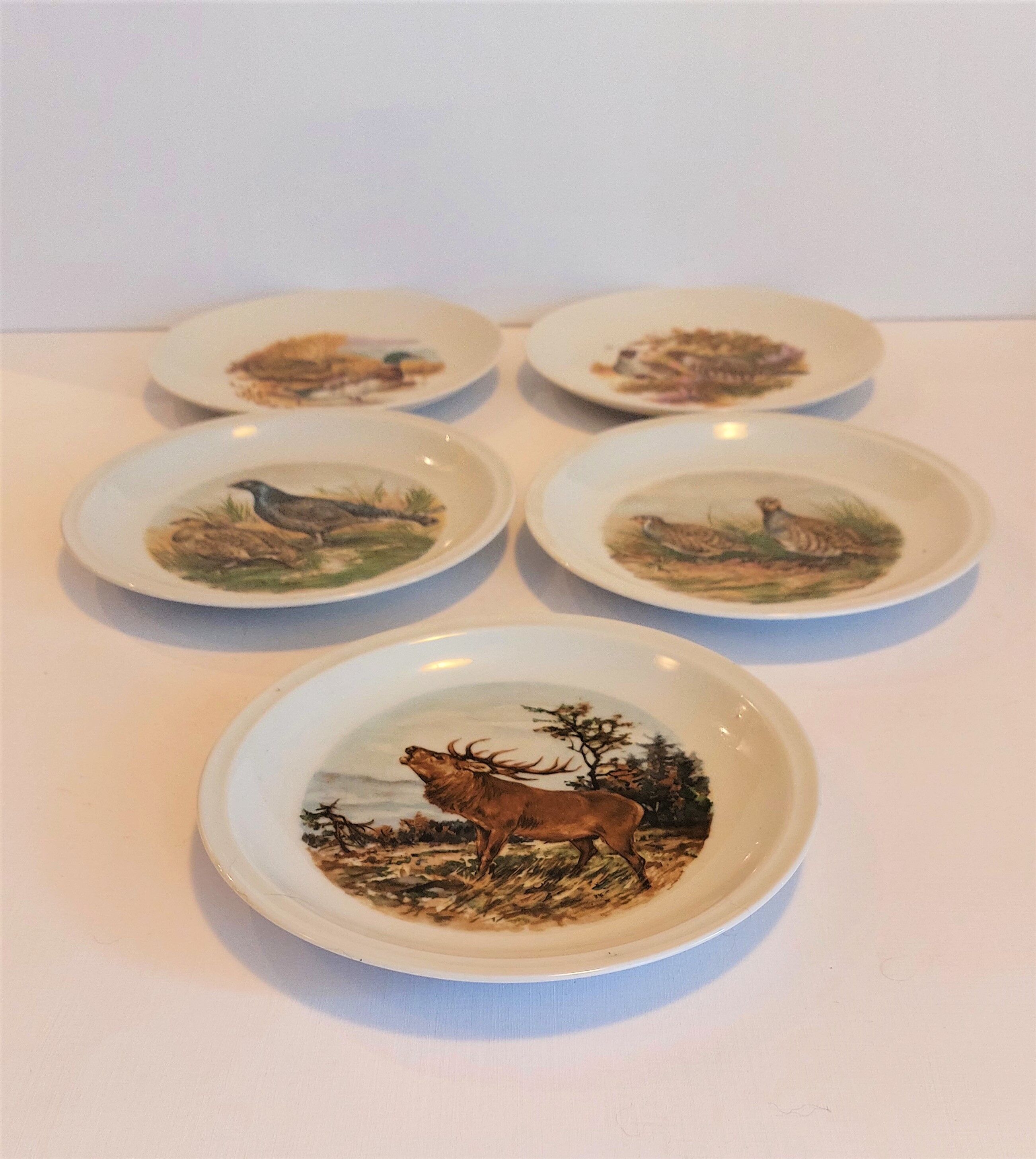 set of 5 plates Bavaria