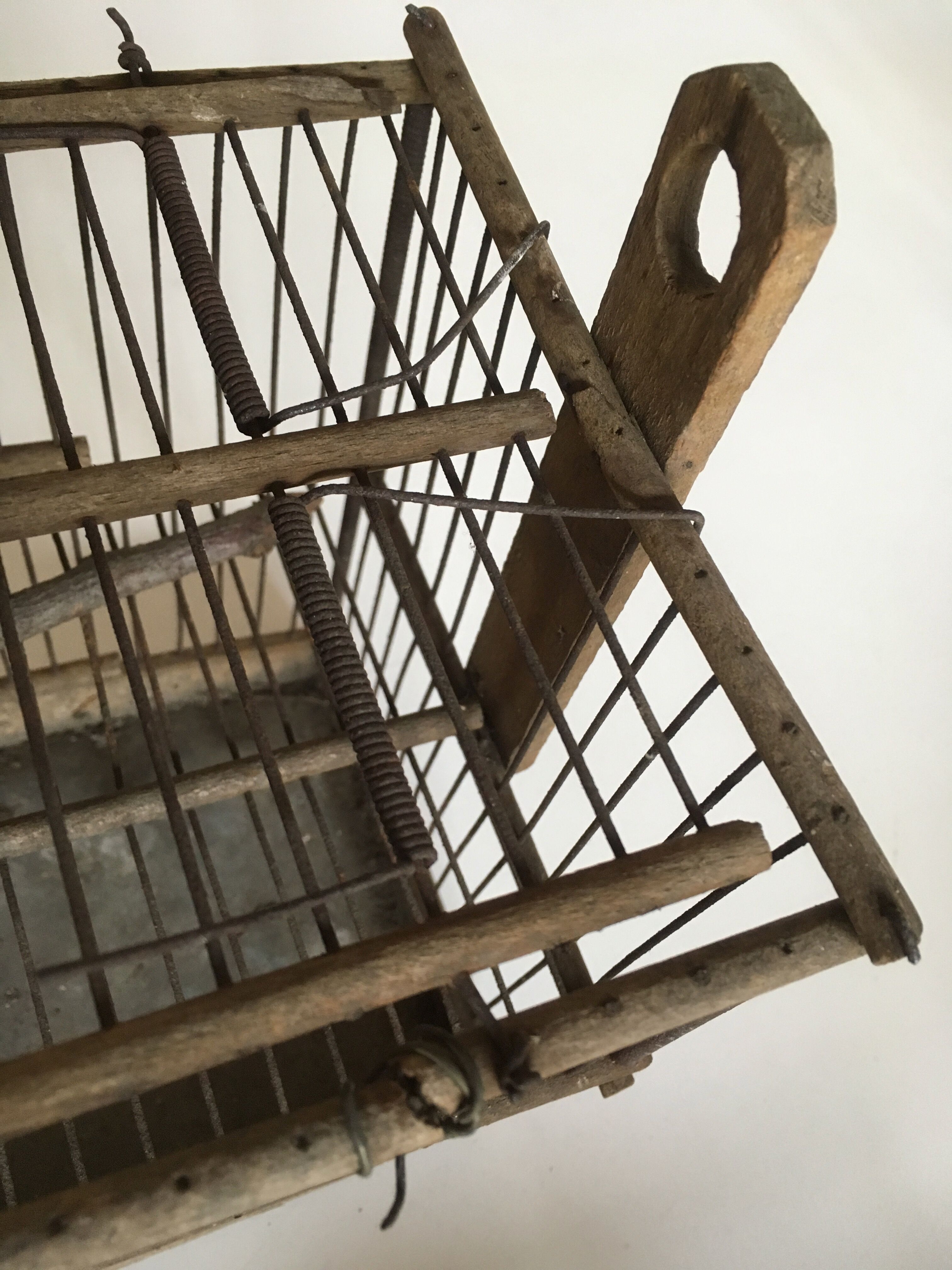 Garden bird cage 19th in zinc and wood