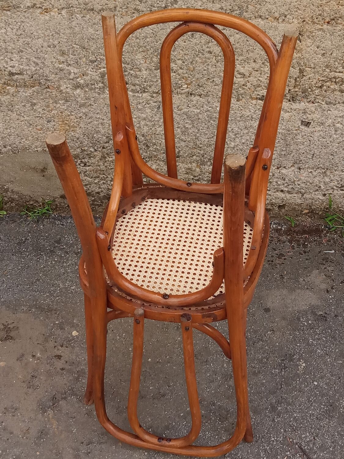 Pair of caned Fischel chairs, circa 1900