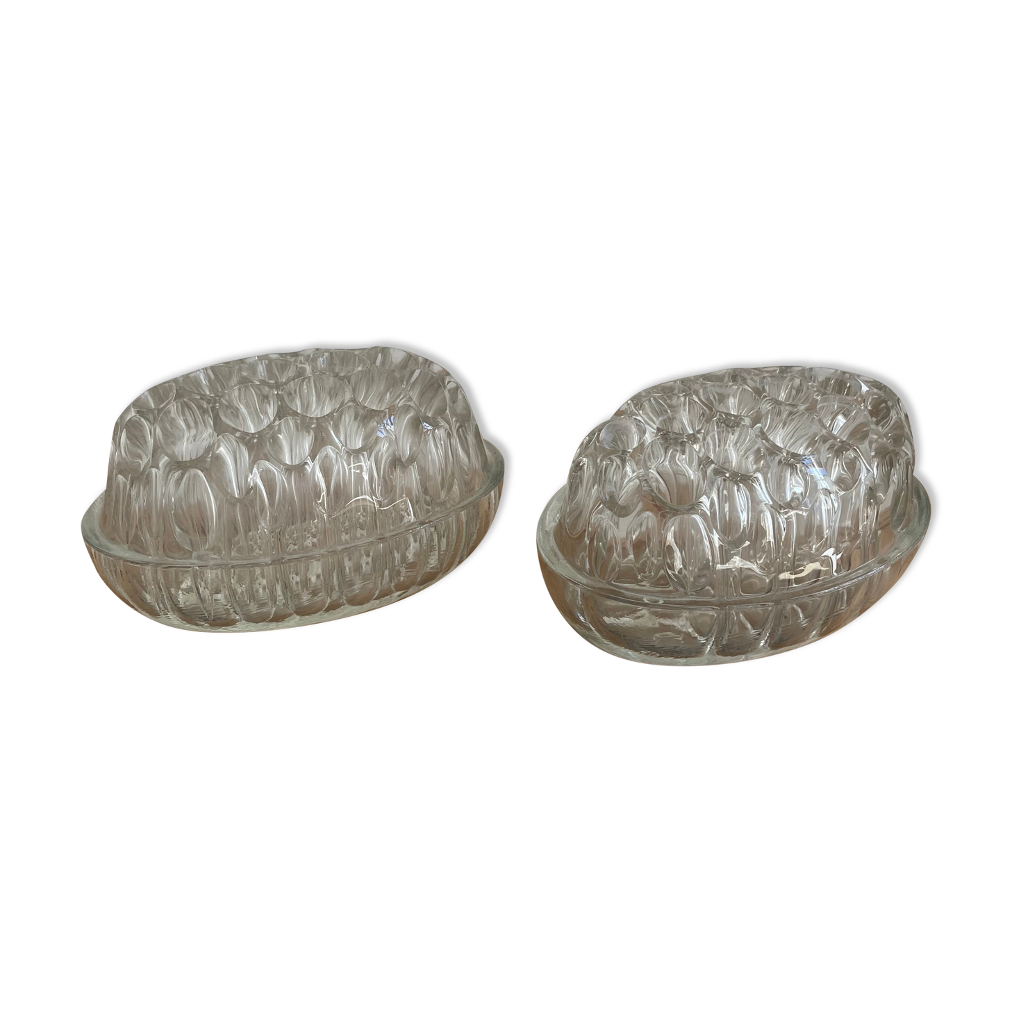 Duo of picnic flowers