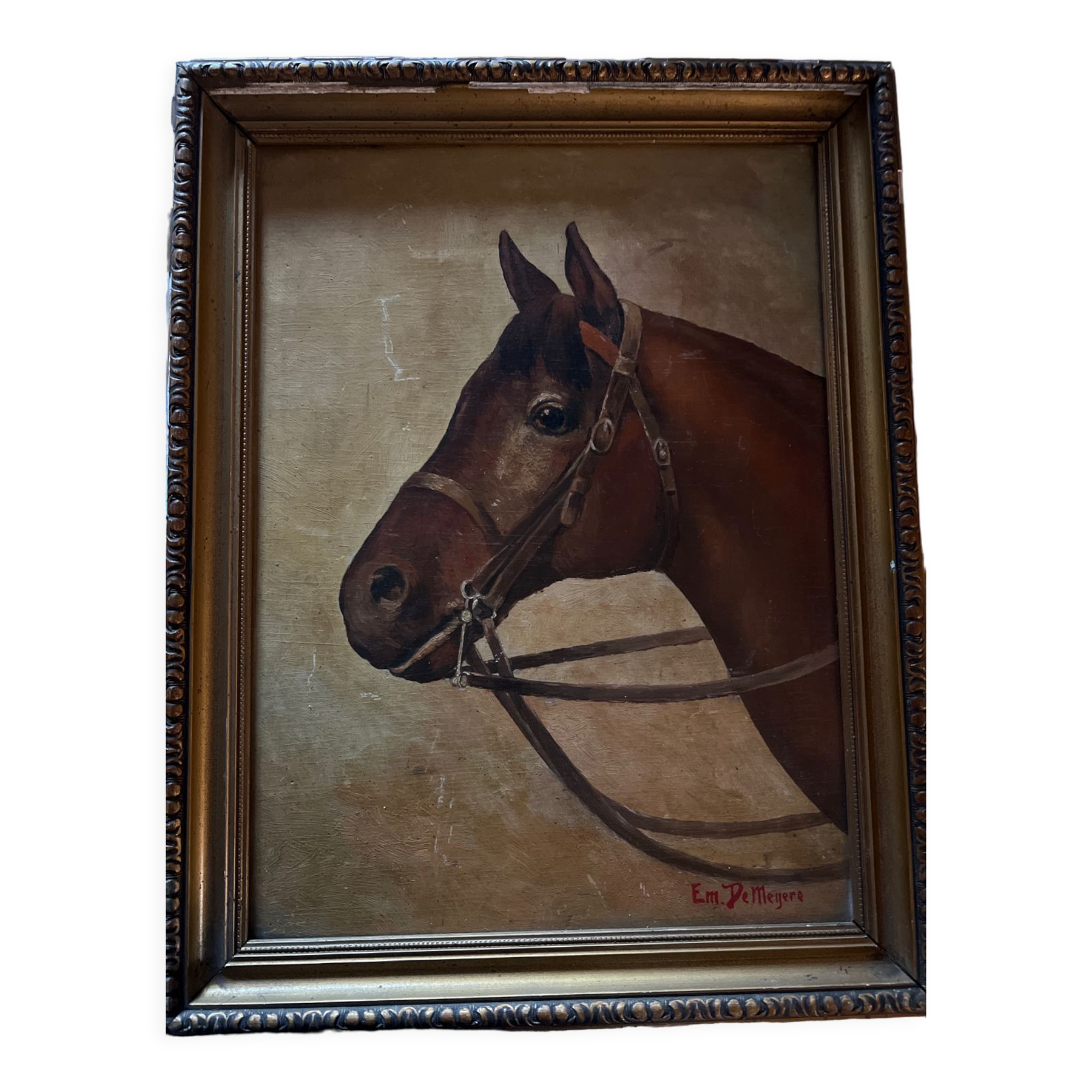 Portrait of a horse
