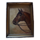 Portrait of a horse