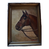 Portrait of a horse