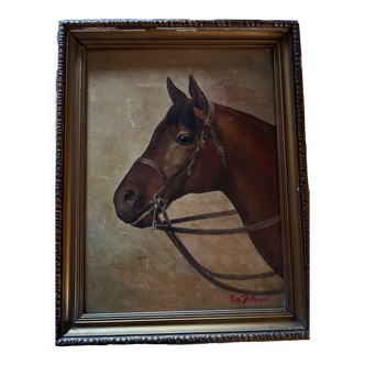 Portrait of a horse