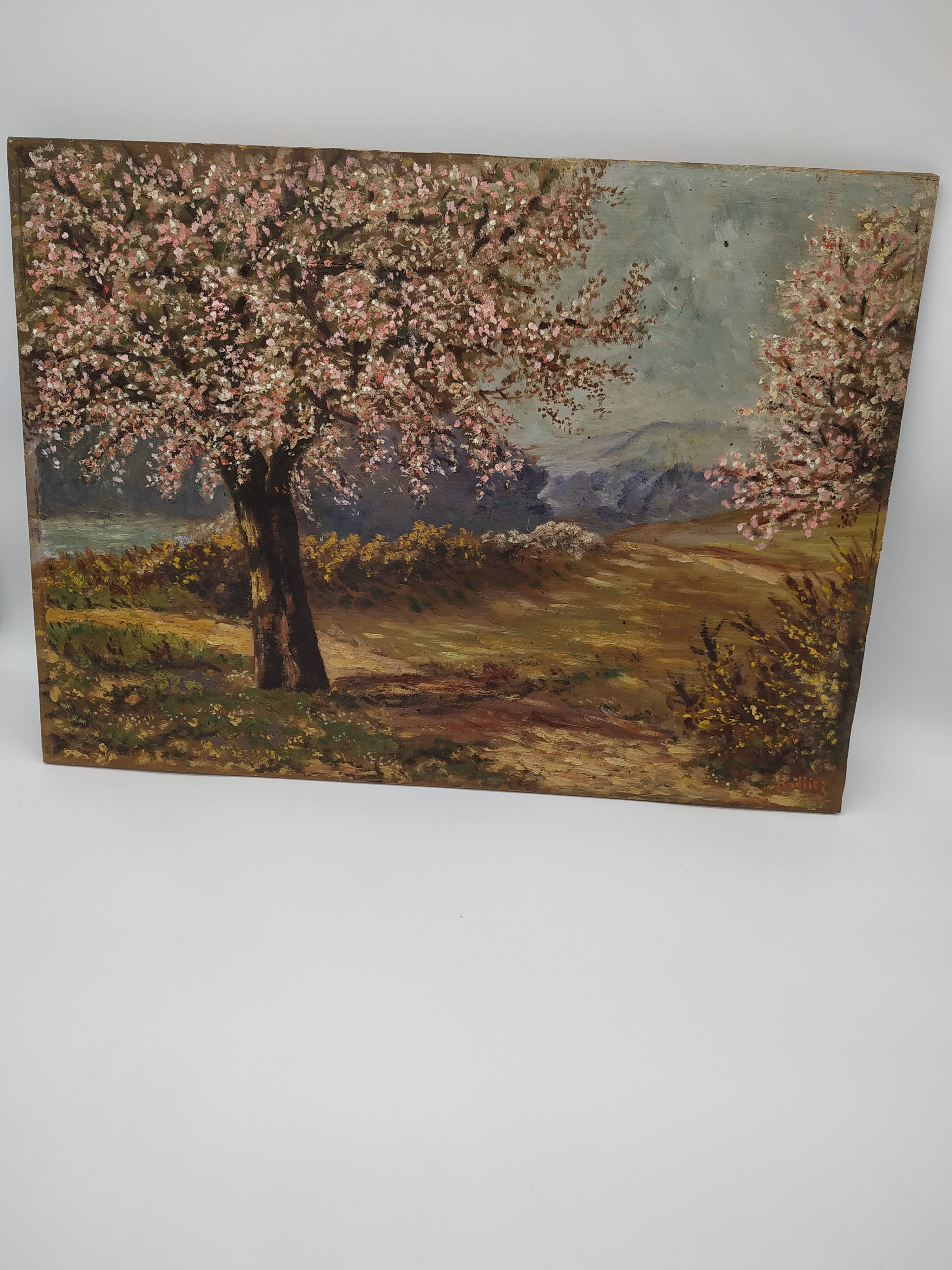 Apple trees in blossom oil on panel
