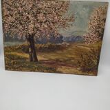 Apple trees in blossom oil on panel