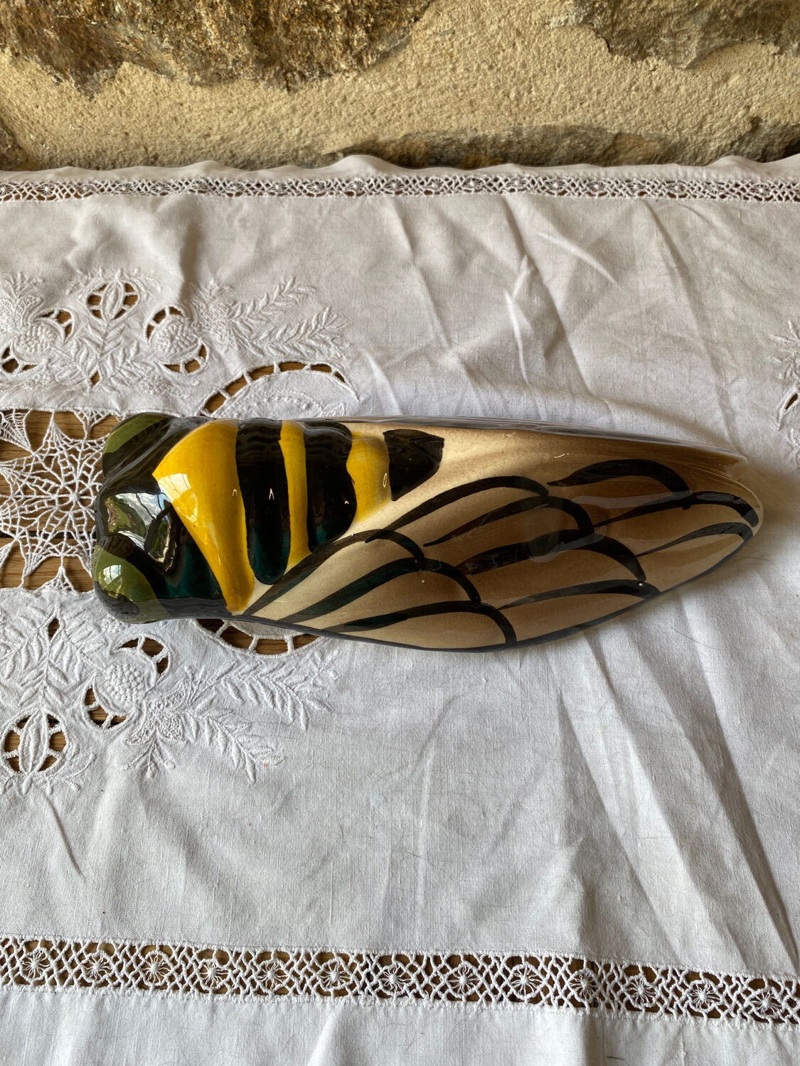 Cicada