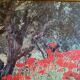 Photo under glass wooden frame "field of poppies"