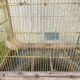 Ancienne cage à oiseaux
