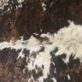 Authentic cowhide traditional tannery