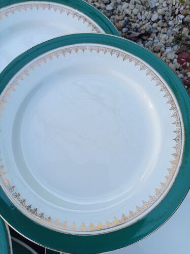 12 assiettes plates en porcelaine opaque de Digoin Sarreguemines