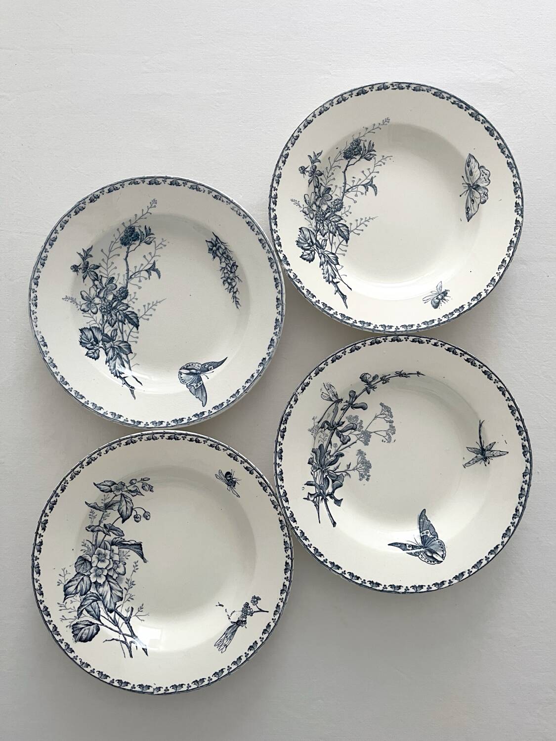 4 deep plates ironstone butterflies "Carmen" Sarreguemines