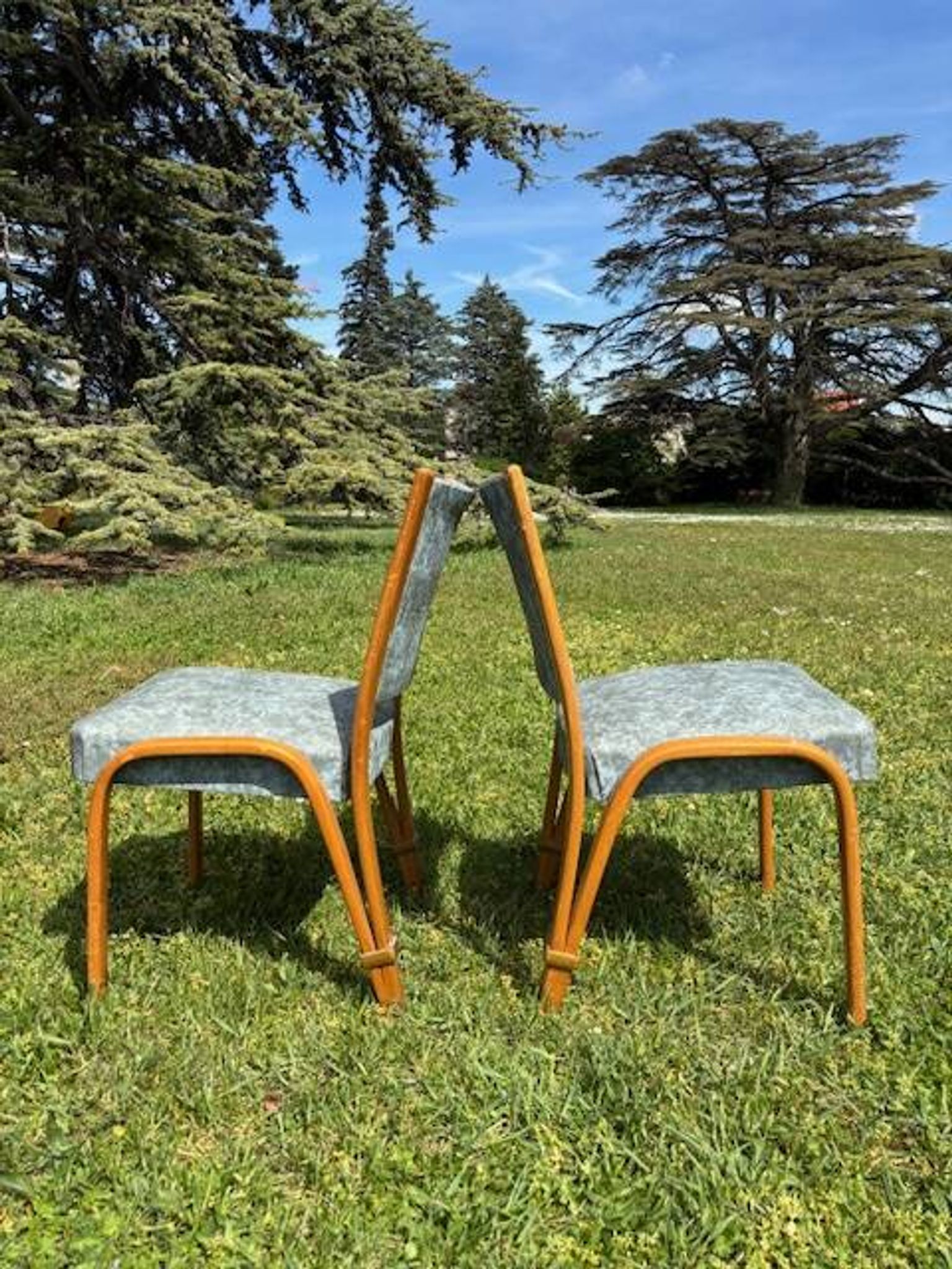Pair of 2 Steiner Bow Wood chairs from the 1950s.