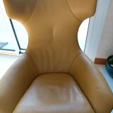 Leolux armchair model Caruzzo