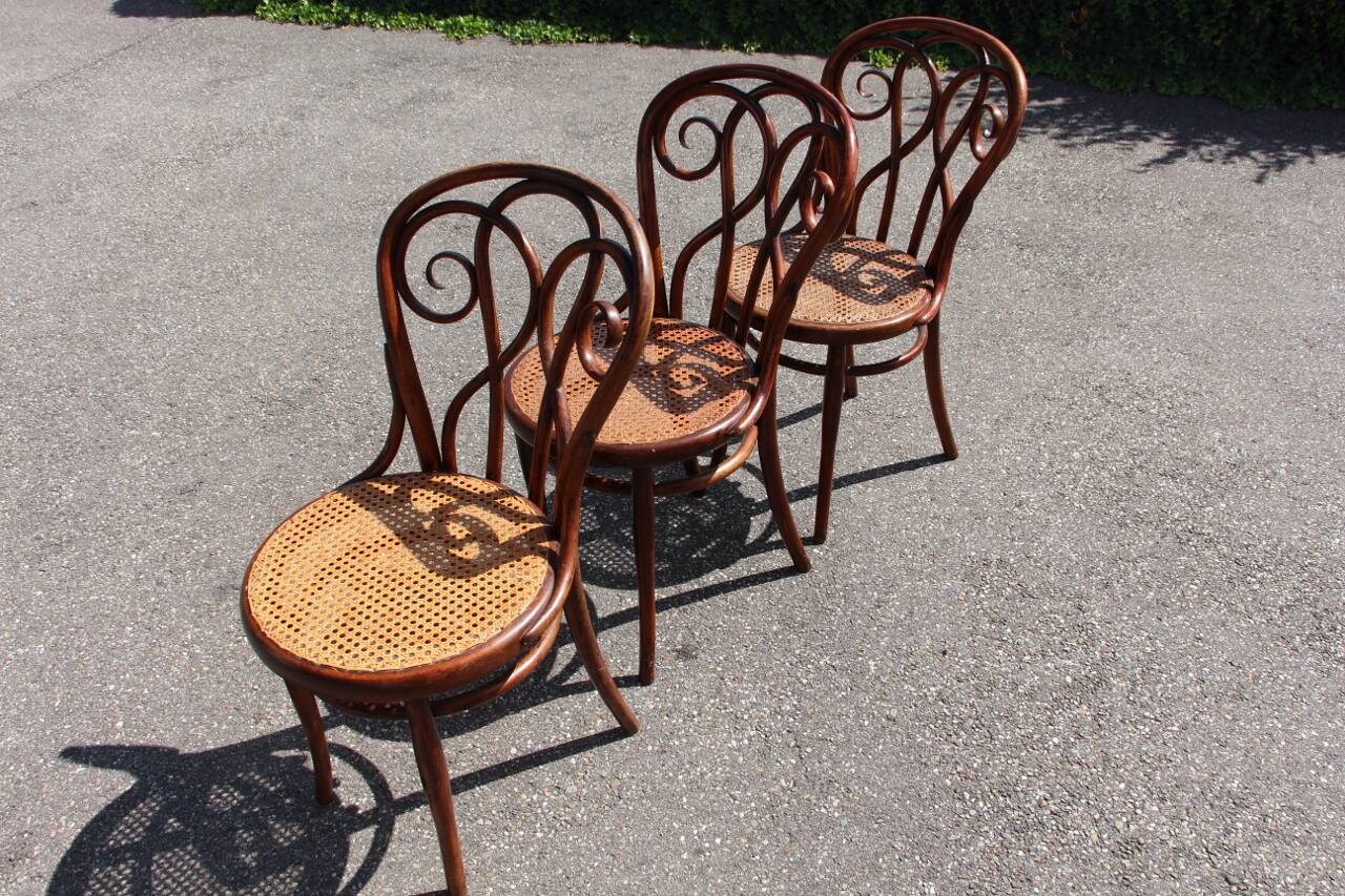Série de x8 chaises bistrot style Thonet
