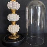 Cabinet of Curiosities globe with sea urchins phyllacanthus imperialis
