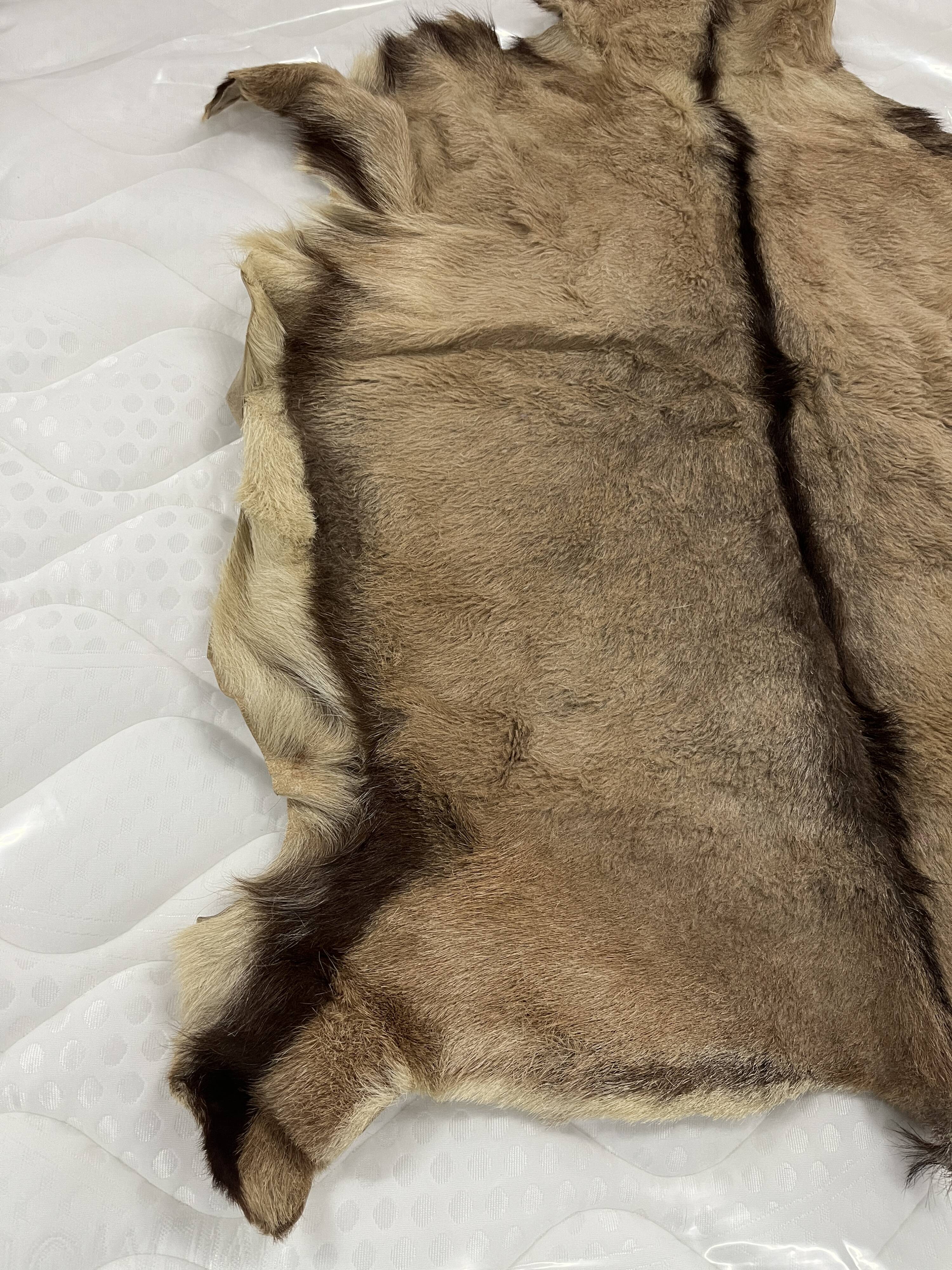 Goat skin rug, 20th century.