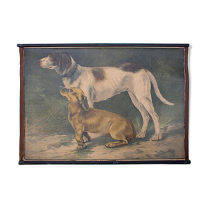Affiche chien lithographie - karl