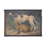 Affiche "chien" lithographie Karl Jansky Böhmen 1897