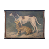 Affiche "chien" lithographie Karl Jansky Böhmen 1897