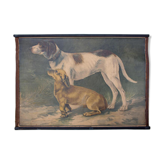 Affiche "chien" lithographie Karl Jansky Böhmen 1897