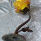 Bronze wall lamp and art nouveau glass paste