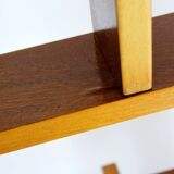 Mid-Century Room Divider by Ludvik Volak for Drevopodnik Holesov, 1960s