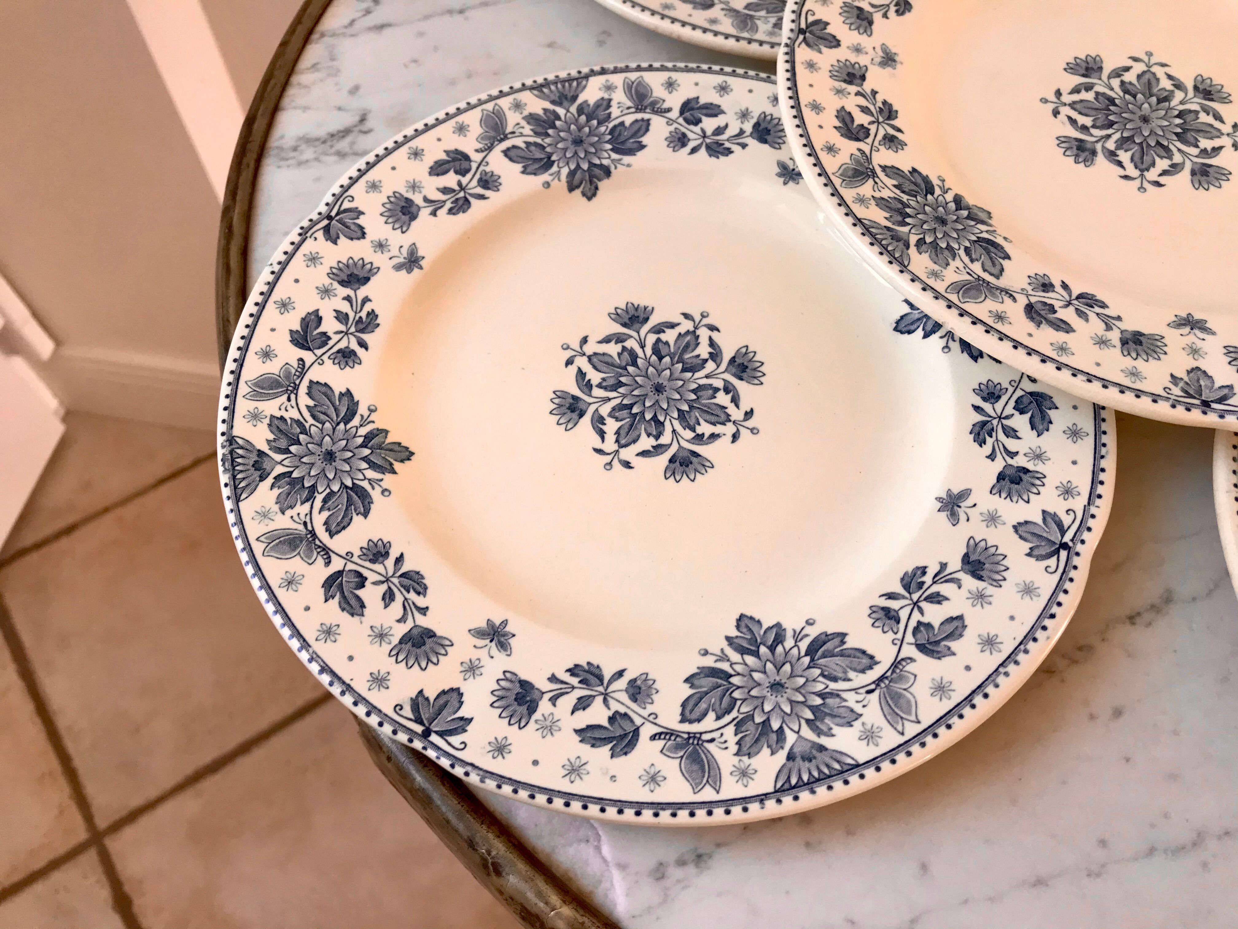 5 flat plates Terre de Fer Sarreguemines model "Estrèes" XIXth