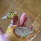 Abraham Palatnik, large duck, lucite sculpture, 1960s Op Art / 7