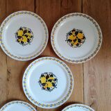 Capri plates
