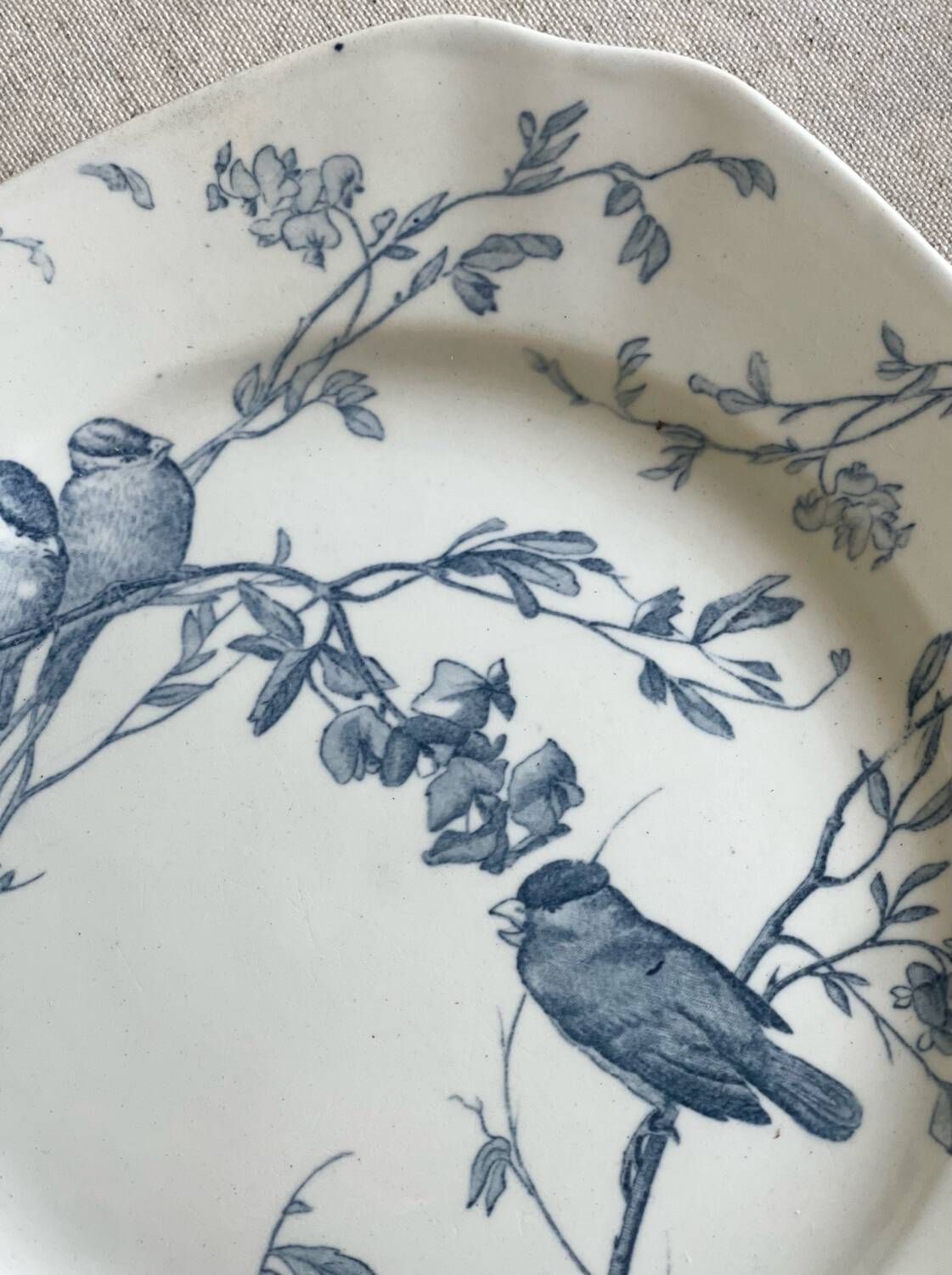 9 mismatched blue ironstone plates
