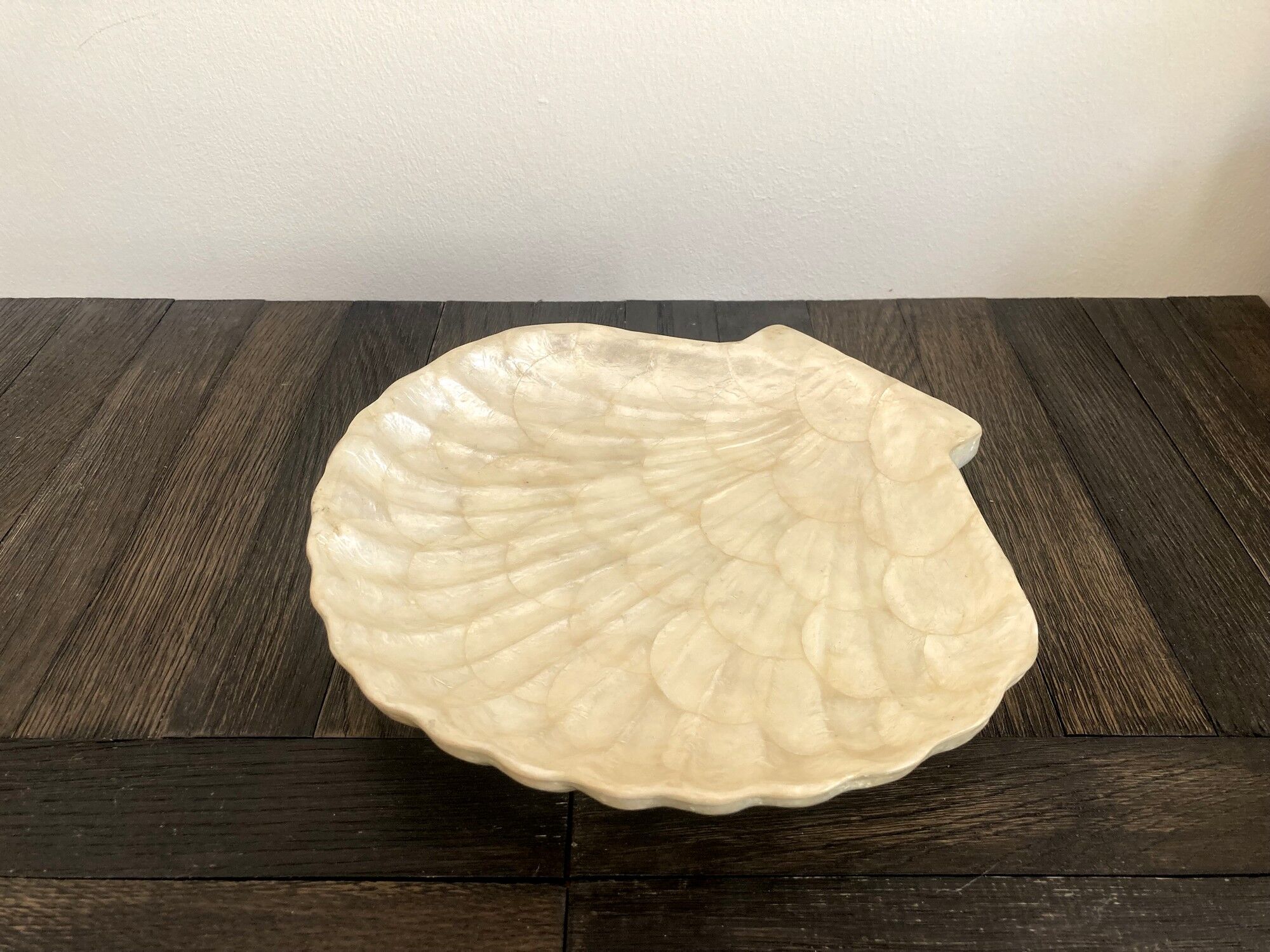 Cup / vacuum vintage pocket in the shape of mother-of-pearl shell