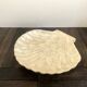 Cup / vacuum vintage pocket in the shape of mother-of-pearl shell
