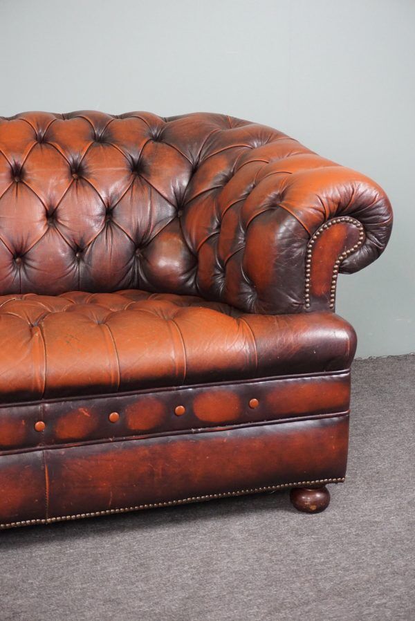 Chesterfield sofa in resistant cowhide, 3 seats