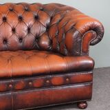 Chesterfield sofa in resistant cowhide, 3 seats