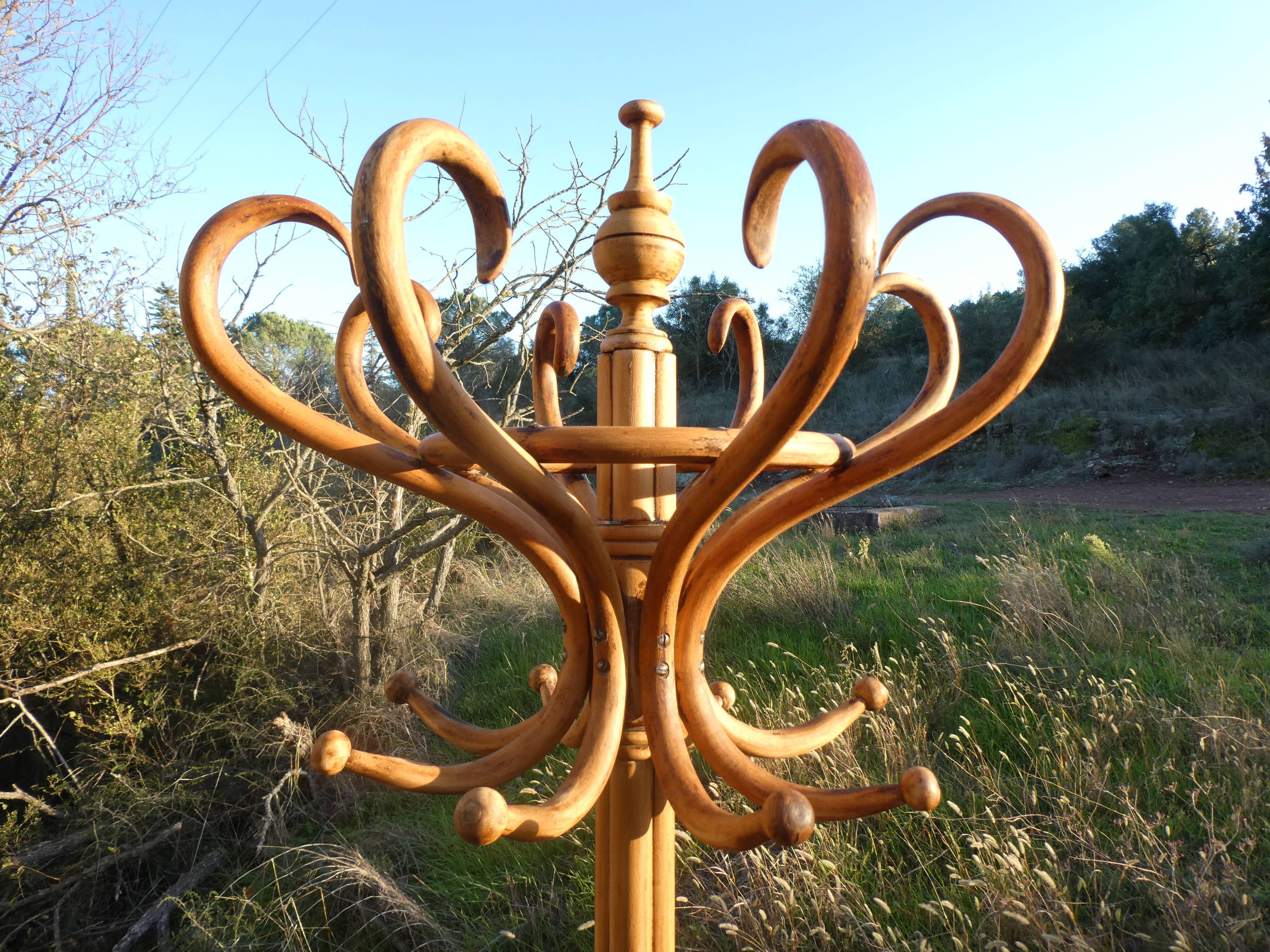 Parrot coat rack in curved wood - Art Nouveau