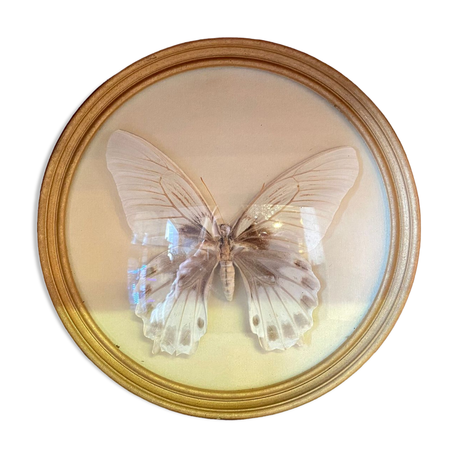 Butterfly frame