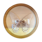 Butterfly frame