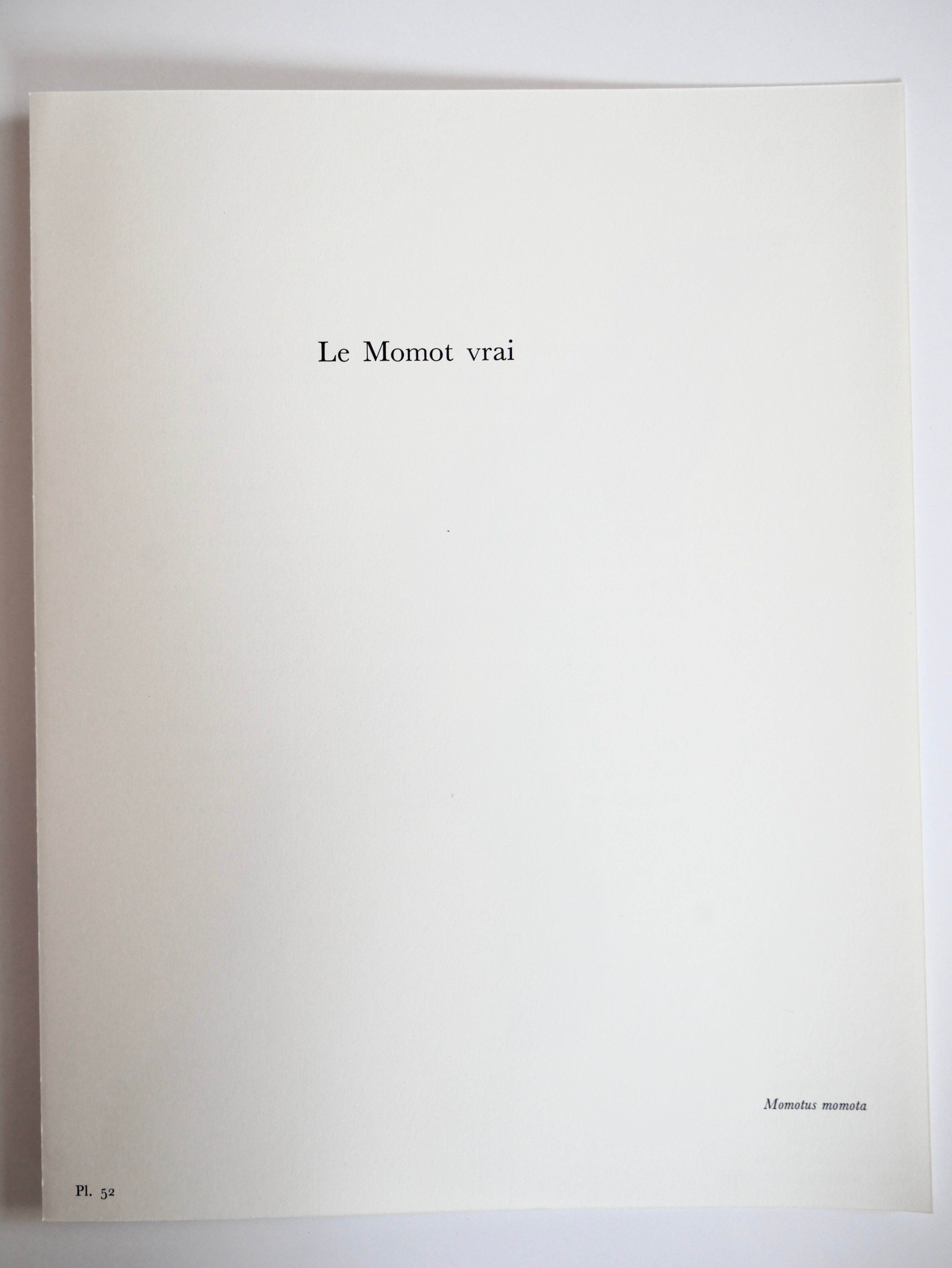 Ornithological board The True Momot