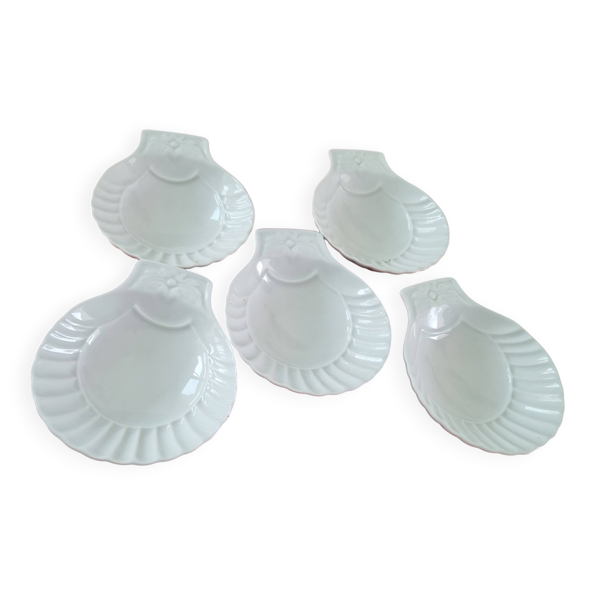 5 coquilles St jacques