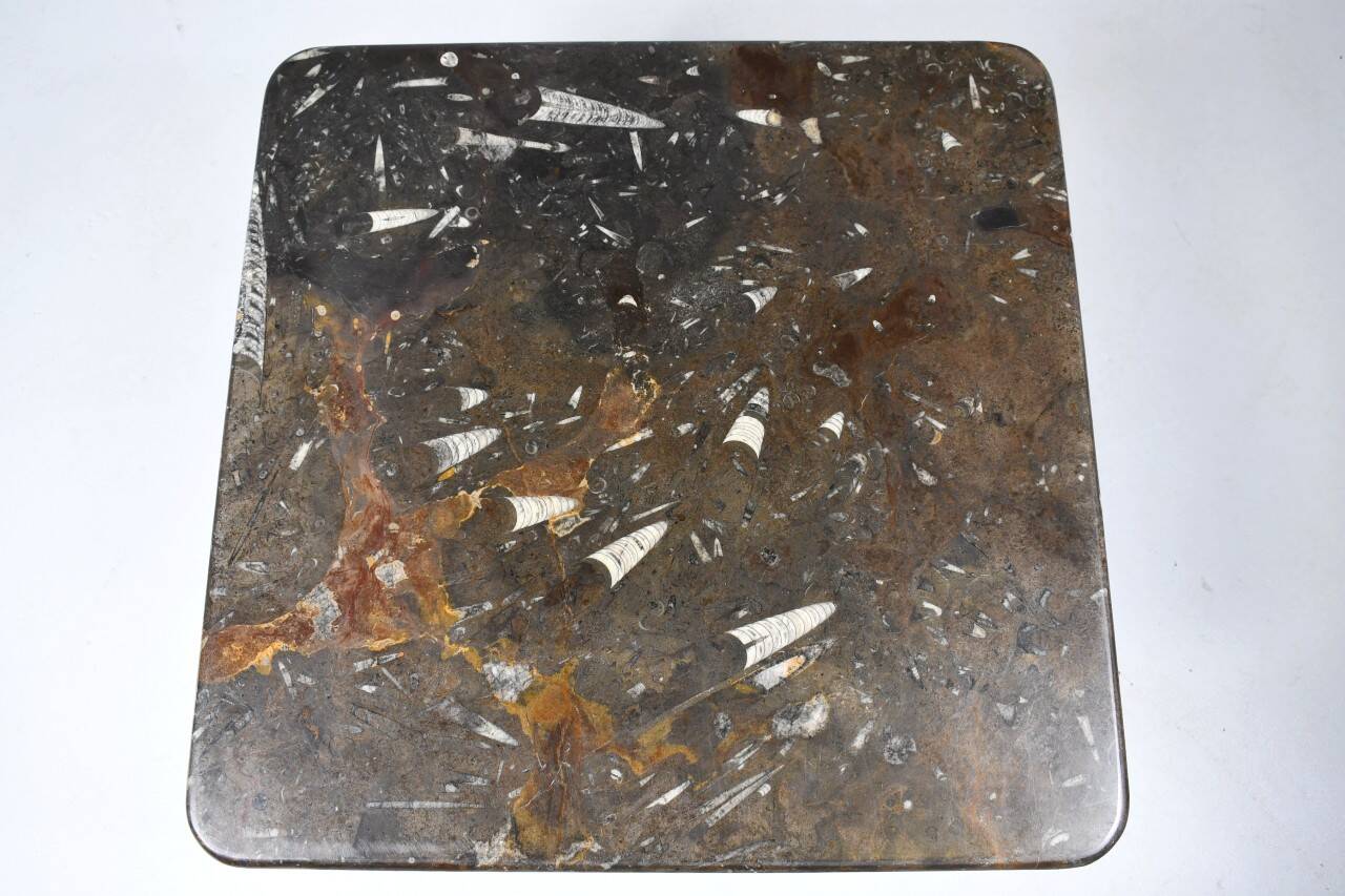 Vintage fossilized stone coffee table