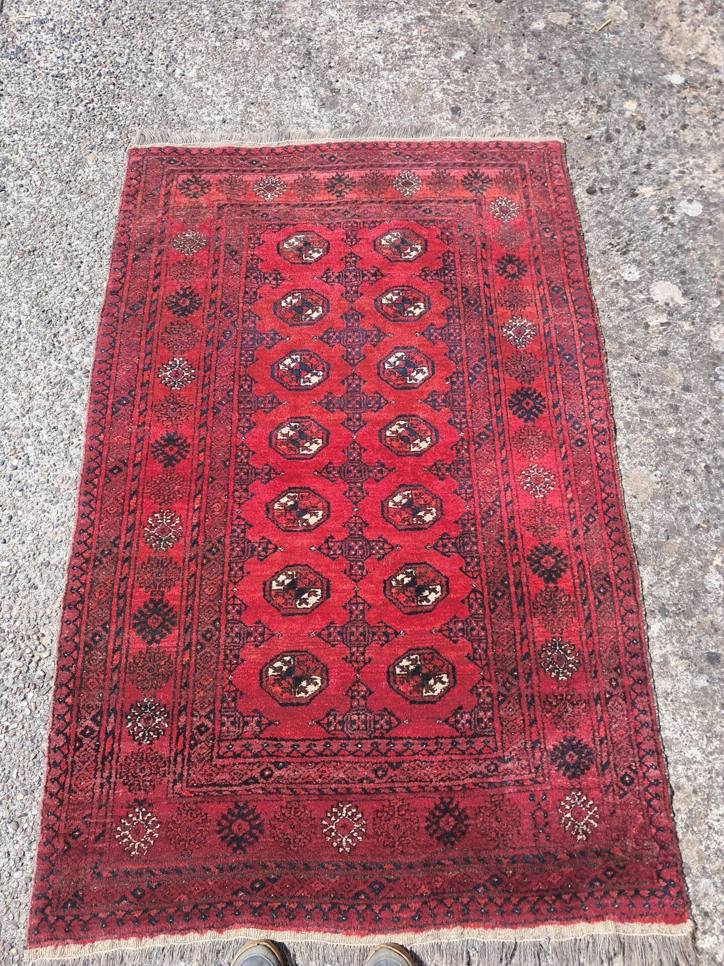 Tapis afghan, moyenne taille