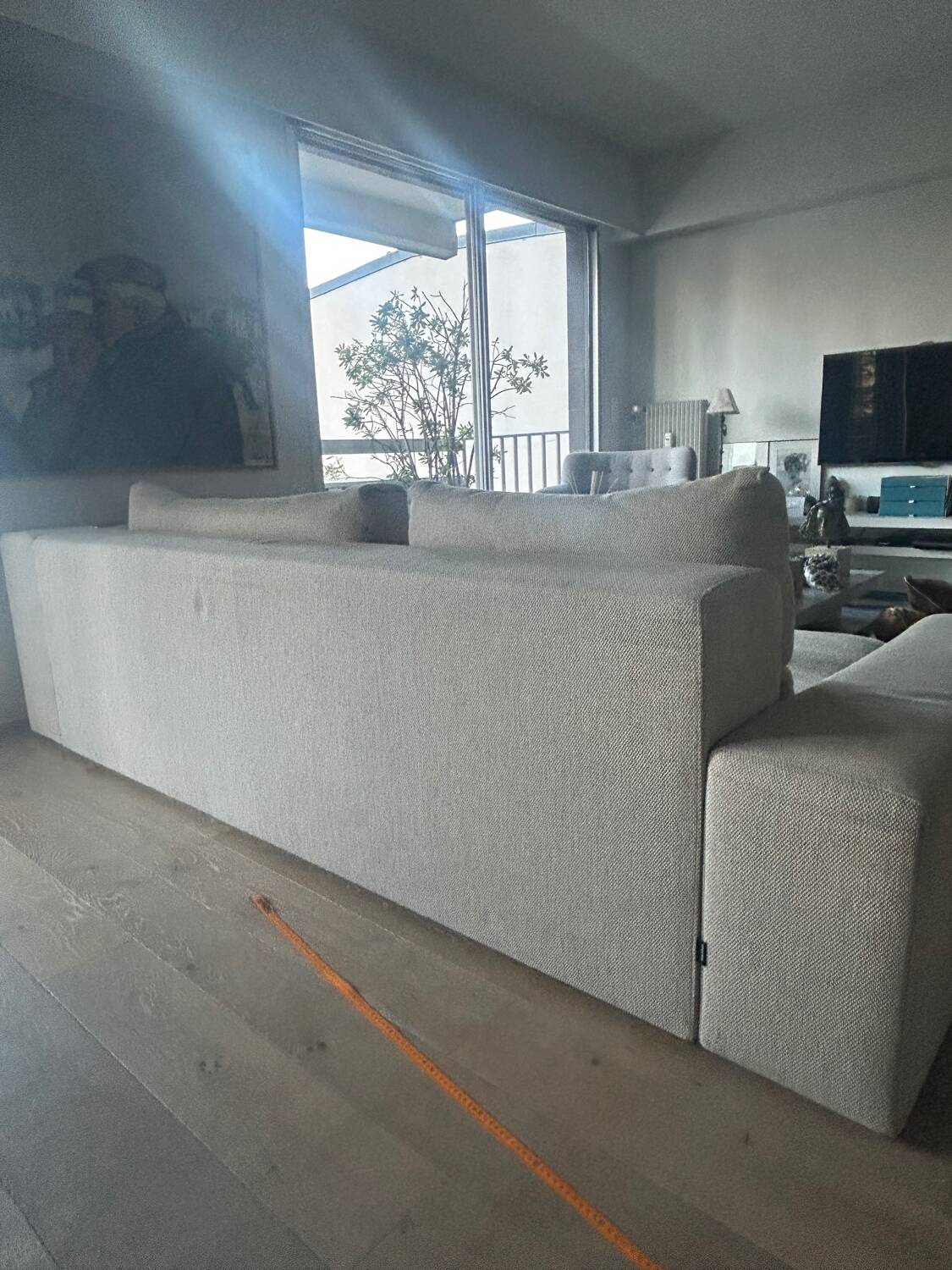 Ligne Roset sofa