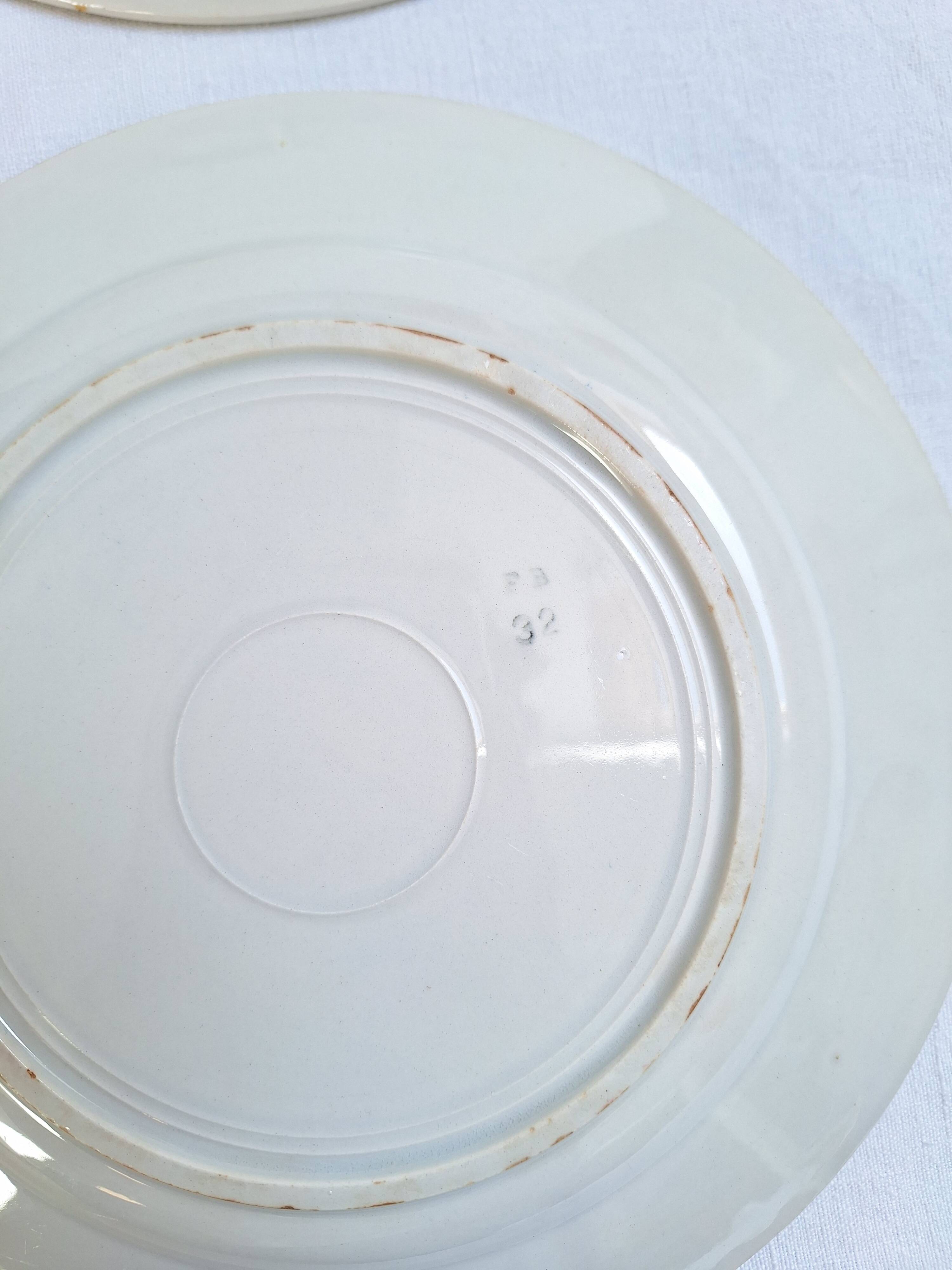 Flat plates Luneville, Céranord, Badonviller