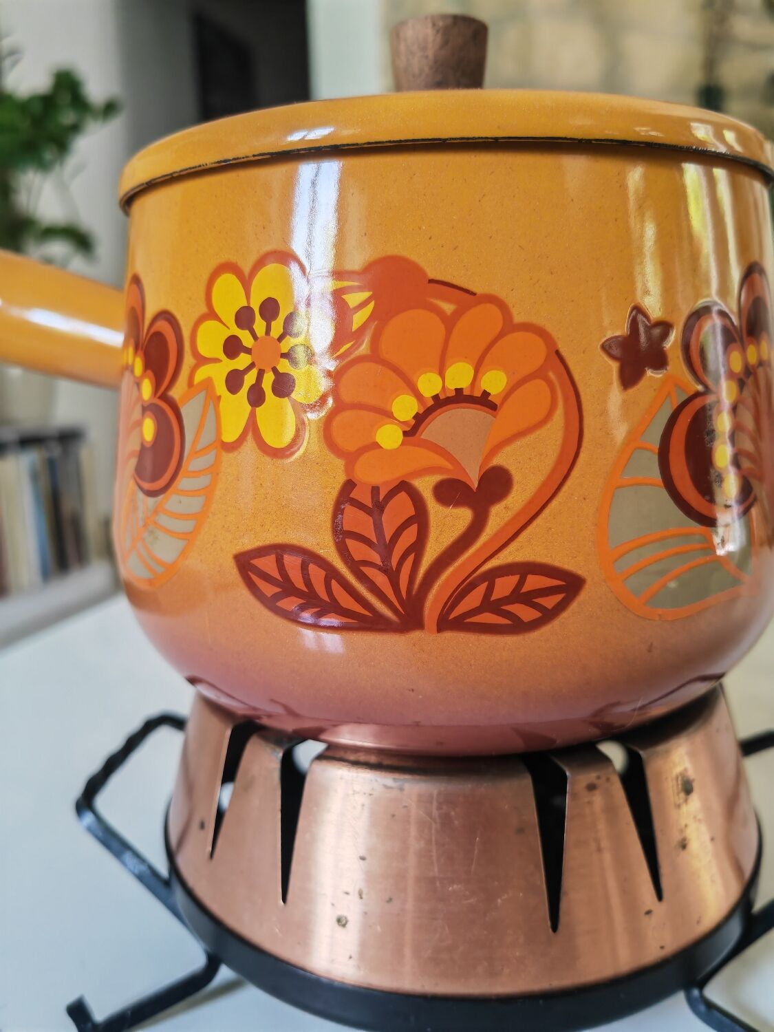 Seventies fondue kit