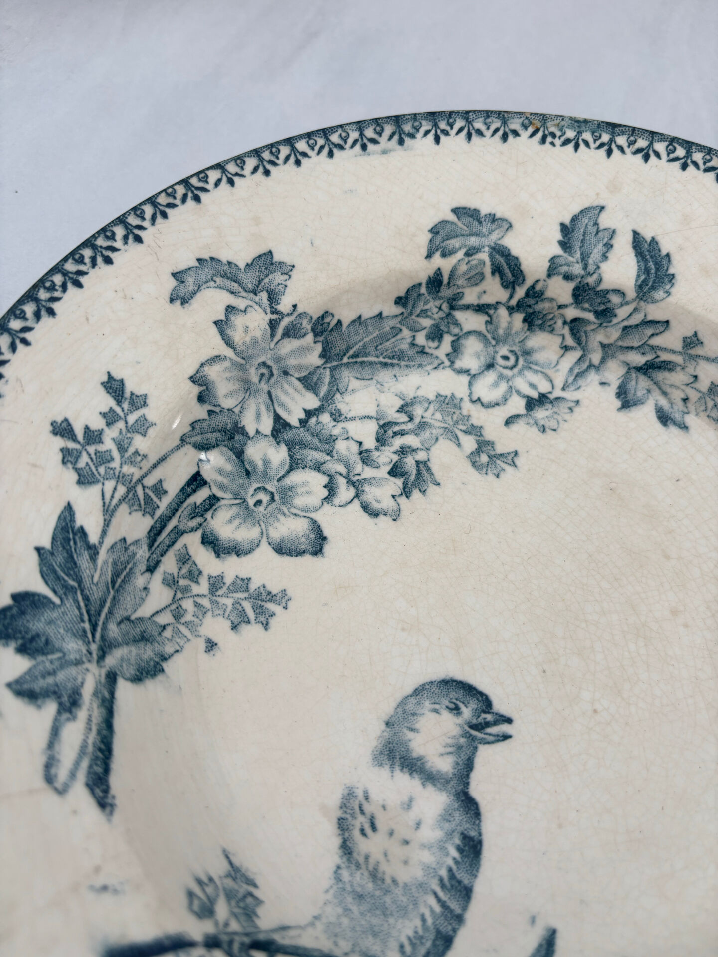 Assiette creuse longwy mesange terre de fer bleu - faïence ancienne fr